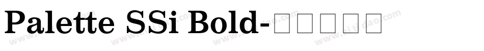 Palette SSi Bold字体转换
